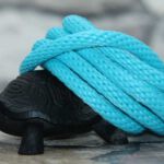 Turquoise Spiral-Tau Turquoise Spiral-Tau