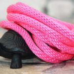 Neon Pink Spiral-Tau Neon Pink Spiral-Tau