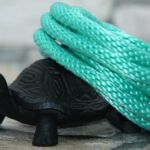 Mint Spiral-Tau Mint Spiral-Tau