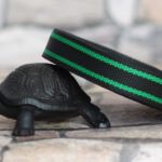 Black & Green